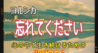 【ヨルシカ】忘れてください～歌詞の意味を考察！心の中で生き続けるための“区切り”