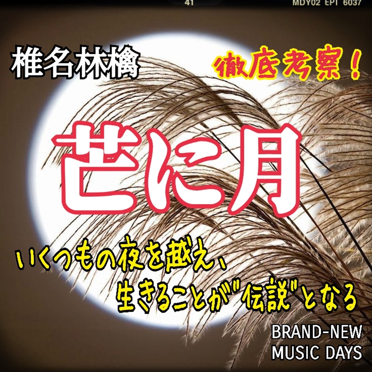 椎名林檎】芒に月～歌詞の意味を考察！いくつもの夜を越え、生きること